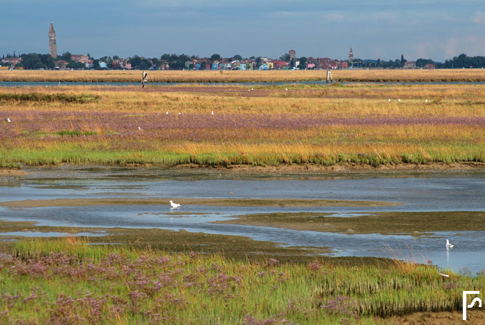 Early morning in Venice Lagoon-North
