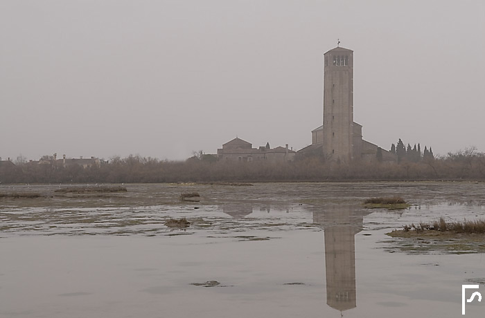 From the mud and the water she rose in the fog