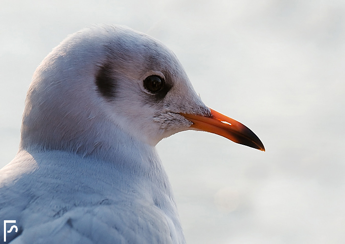 Thinking about past and next storms