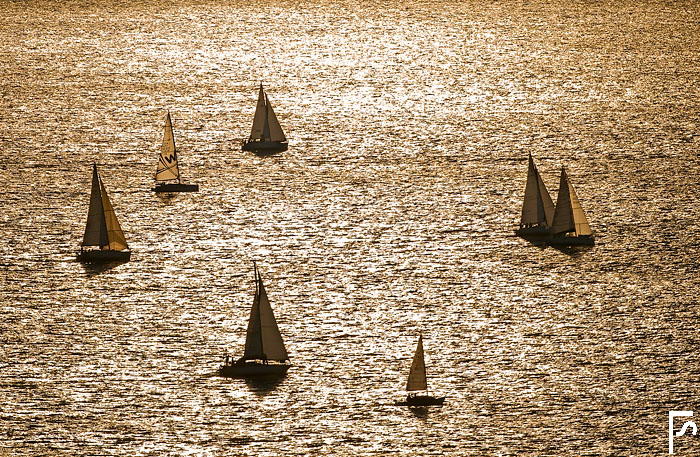 Barcolana in the sunset