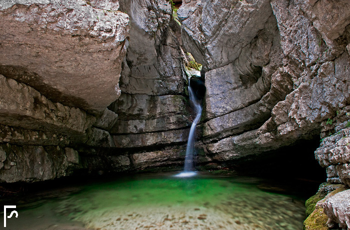 Welcome in my little green world