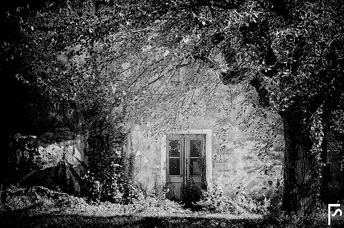 A house where nobody lives